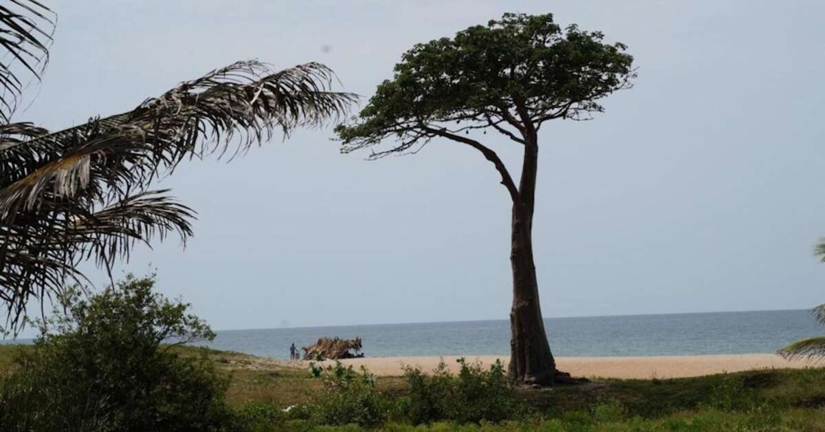 Een foto van Lemon Creek Hotel Resort