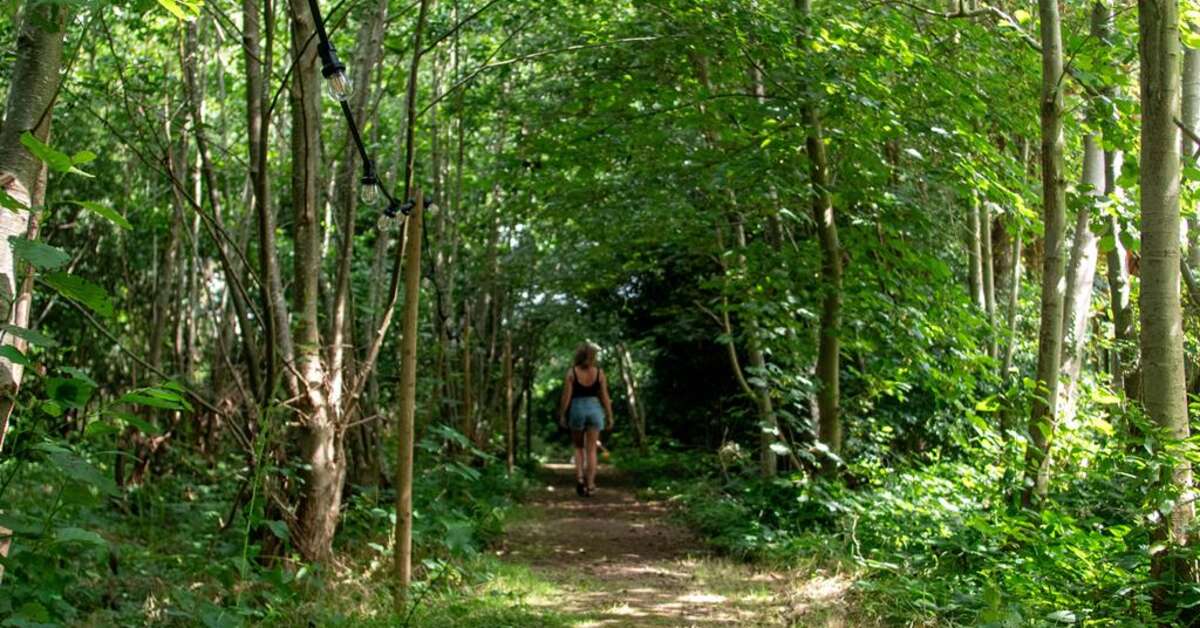 Een foto van Ecolodges de Dreef