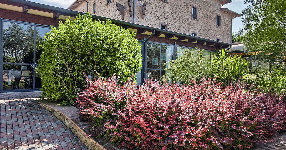 Een foto van Hotel Villa Paradiso Village