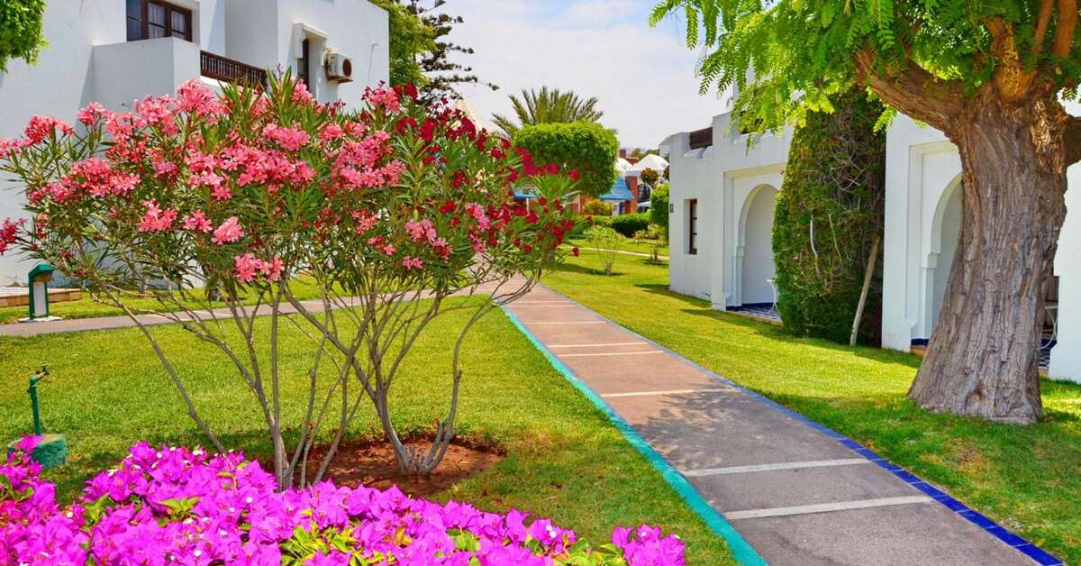 Een foto van Caribbean Village Agador