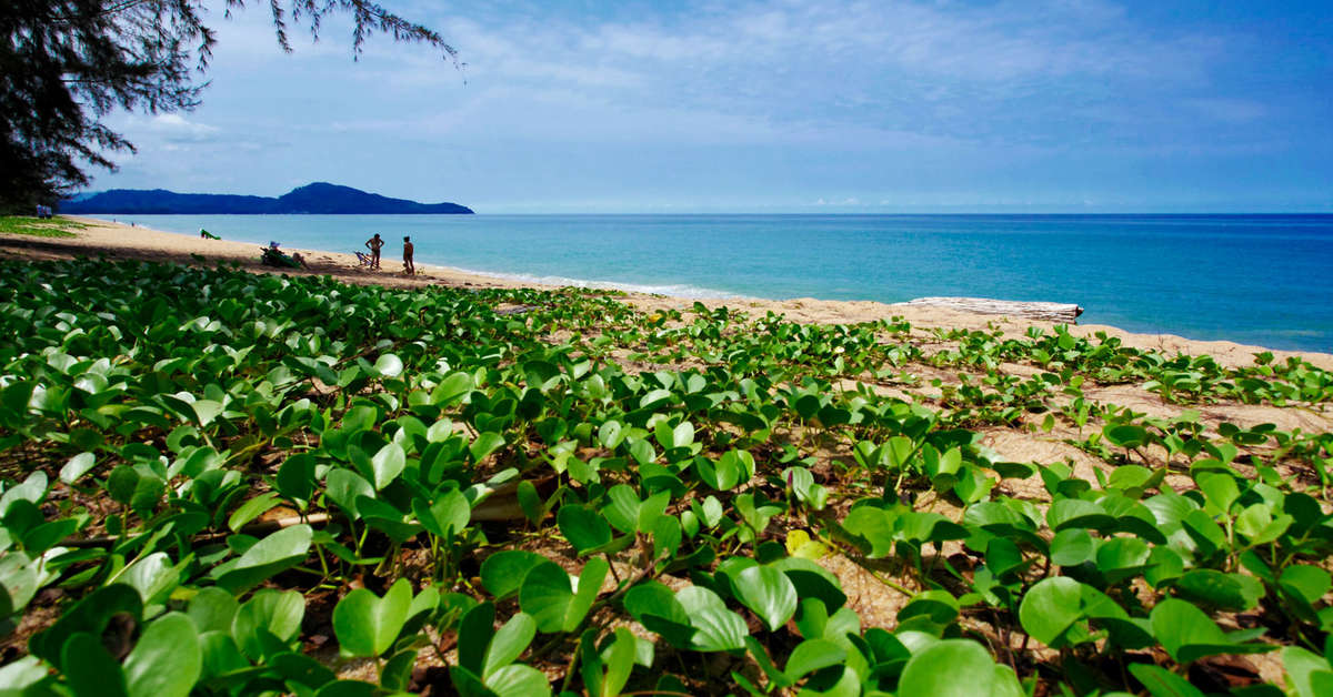 Een foto van het strand bij Holiday Inn Resort Phuket Mai Khao Beach