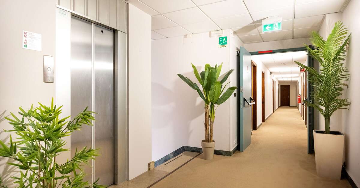 Een foto van Camelia Rooms