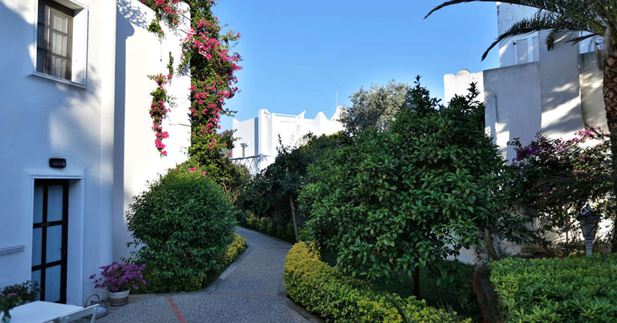 Een foto van Hotel Torbahan