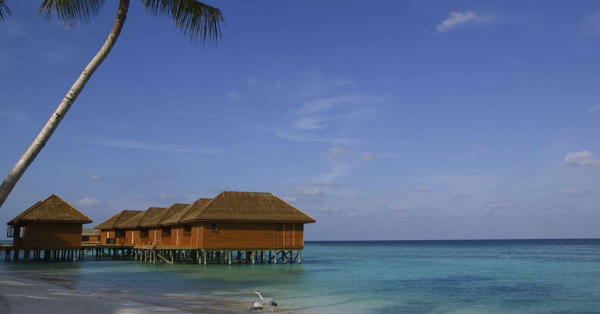 Een foto van Veligandu Maldives Resort Island