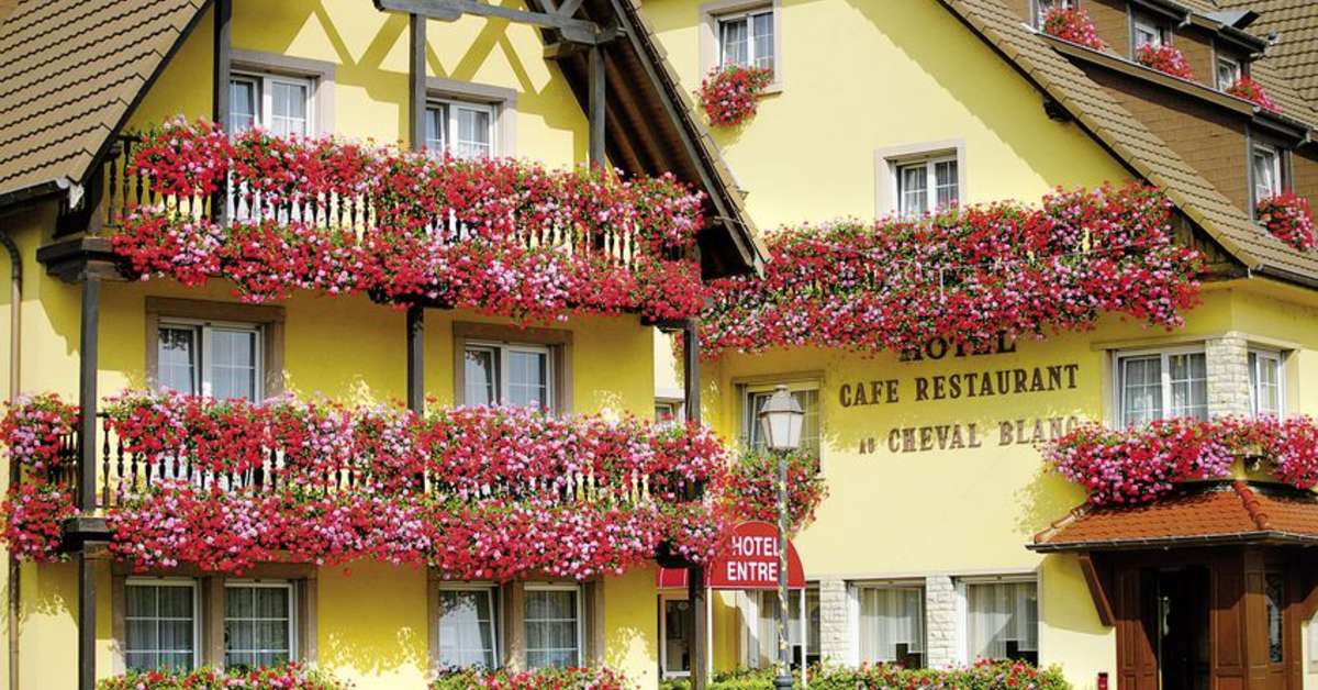 Een foto van Best Western Hotel Cheval Blanc Mulhouse Nord