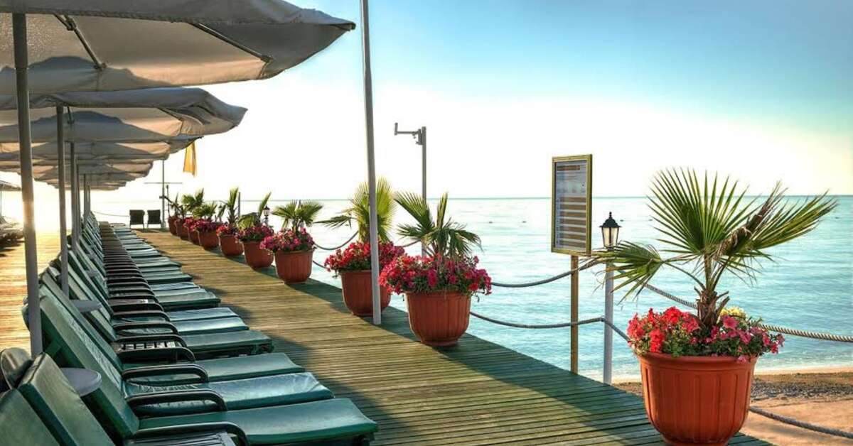 Een foto van Gypsophila Club Marine