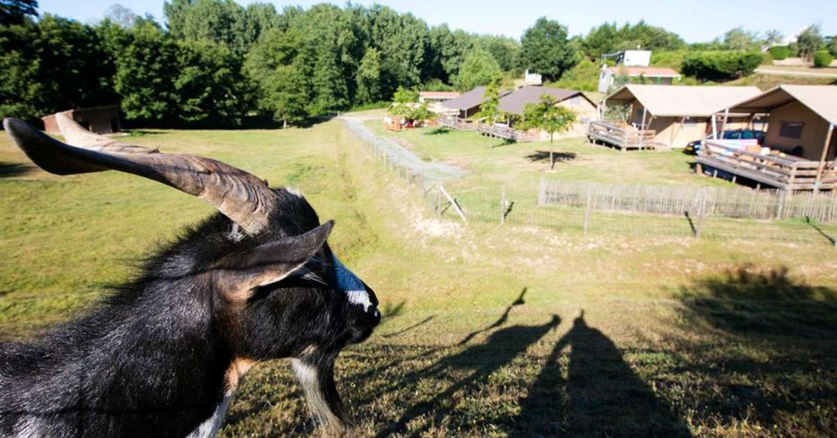 Een foto van Village de la Guyonniere