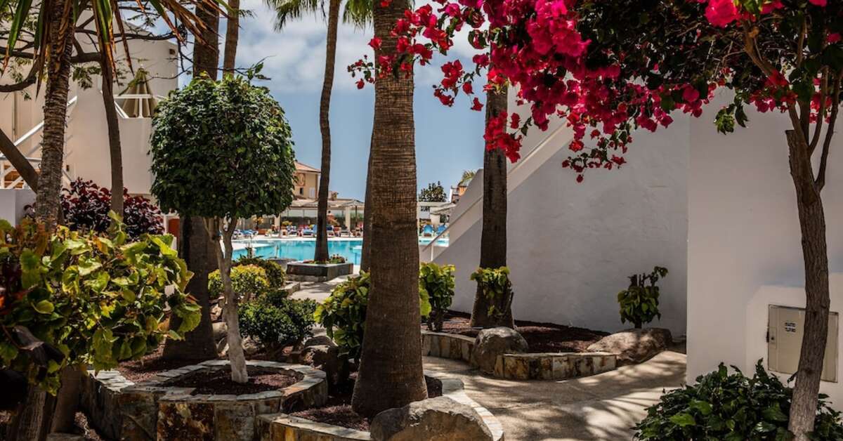Een foto van Bahia Calma Beach