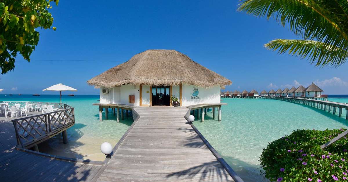 Een foto van Safari Island