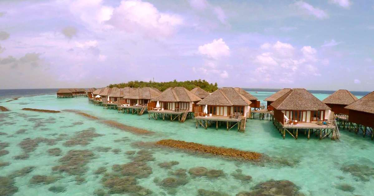 Een foto van Nova Maldives