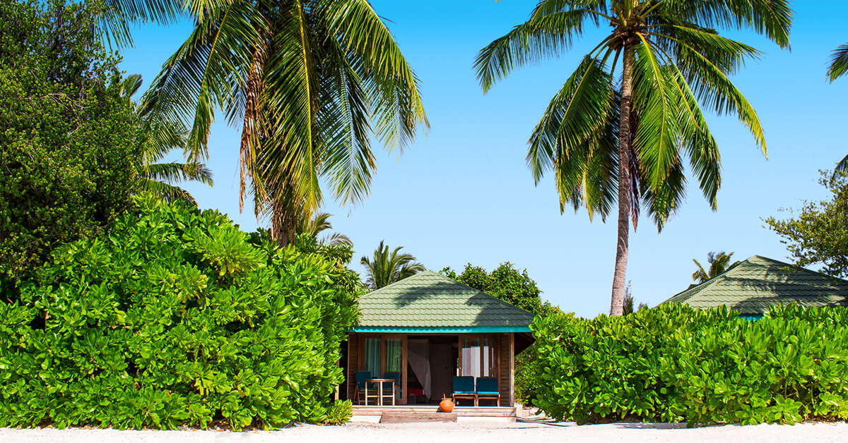 Een foto van Canareef Resort Maldives
