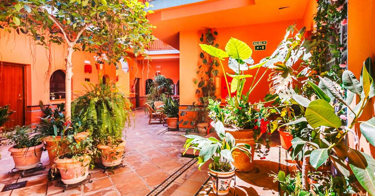 Ein Foto Patio de la Alameda