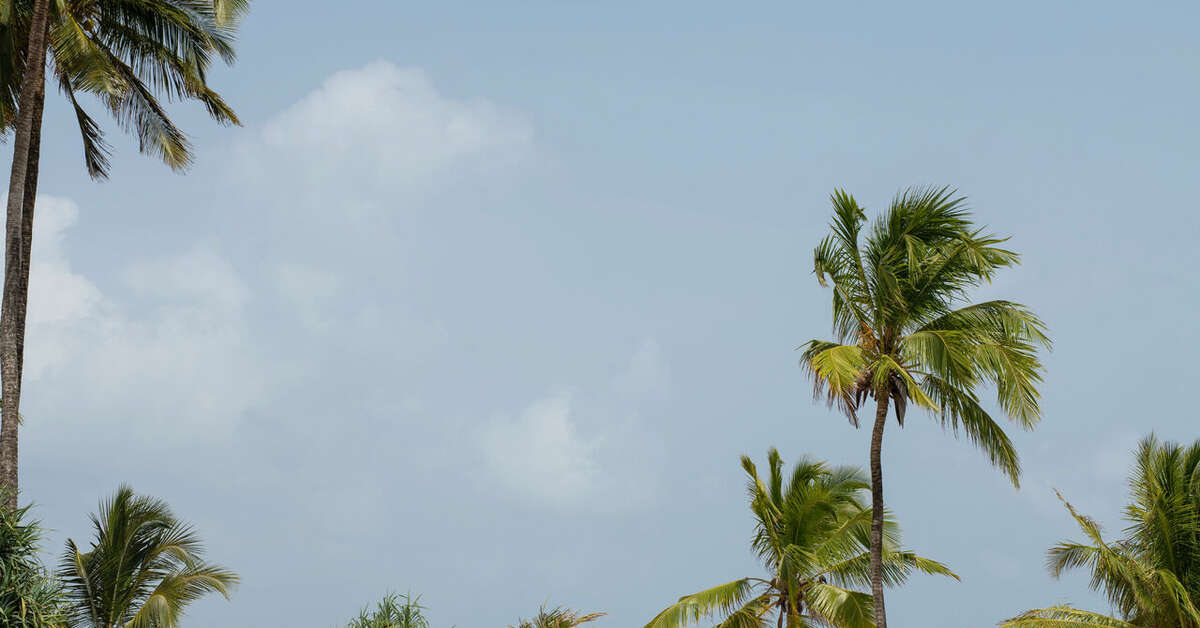 Een foto van Marijani beach Resort