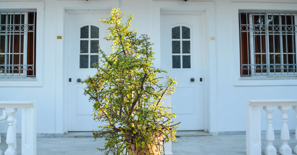 Een foto van Paradise Beach Appartementen