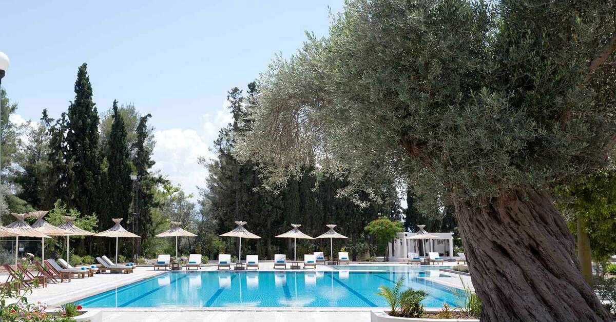 Een foto van Zeus Eretria Resort