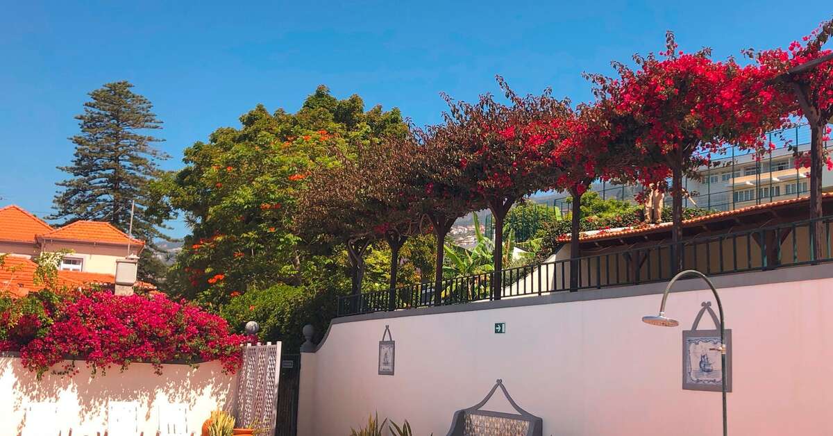 Ein Foto Quinta Mae dos Homens Garden Village