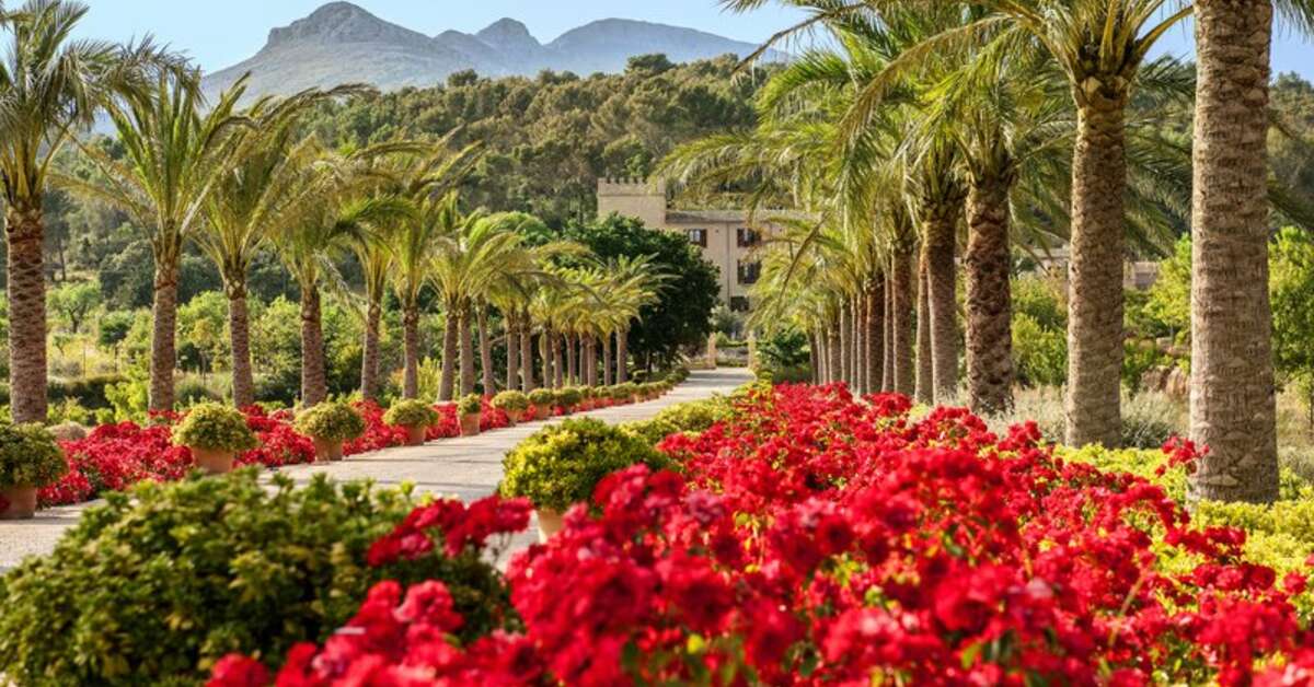 Een foto van Hotel Cala Sant Vicenç