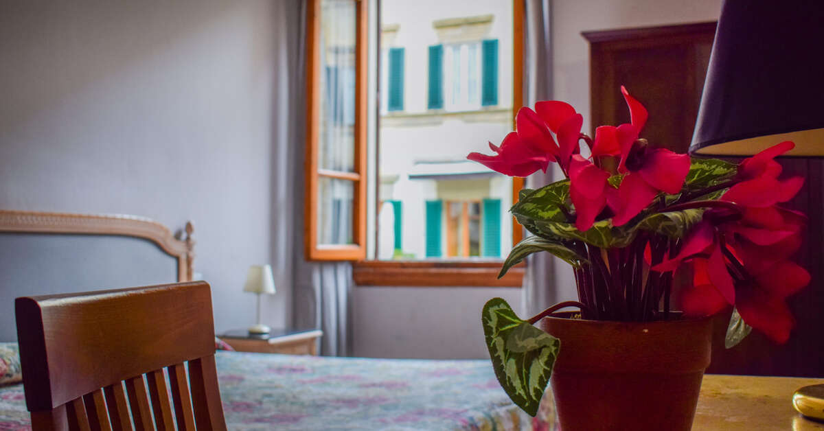 Een foto van Hotel Medici