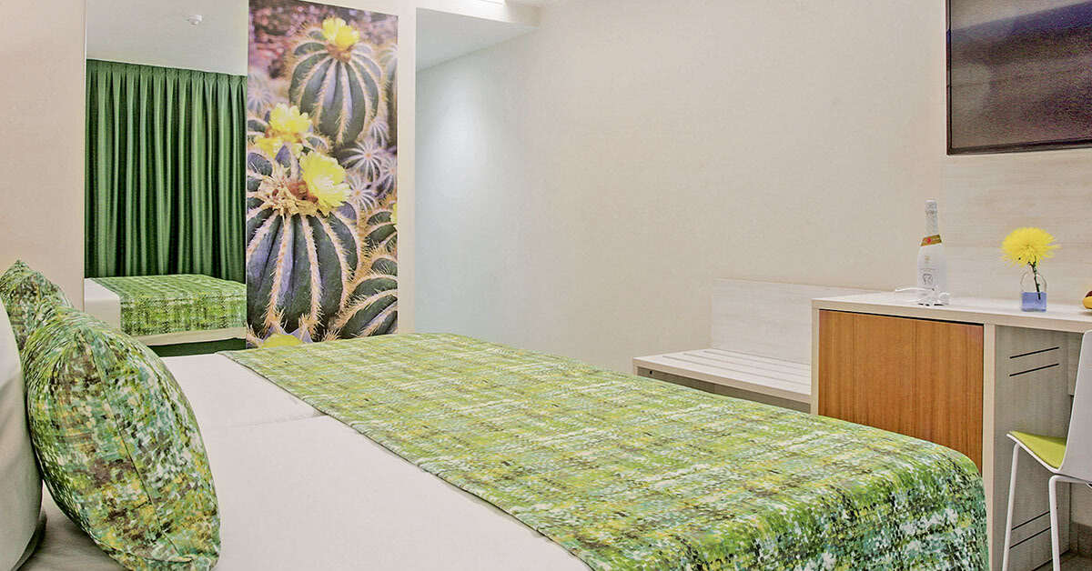 Een foto van Fergus Cactus Garden