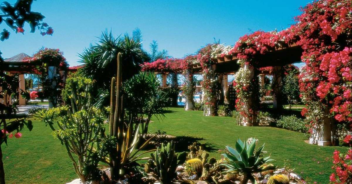 Een foto van het terras bij Robinson Club Soma Bay
