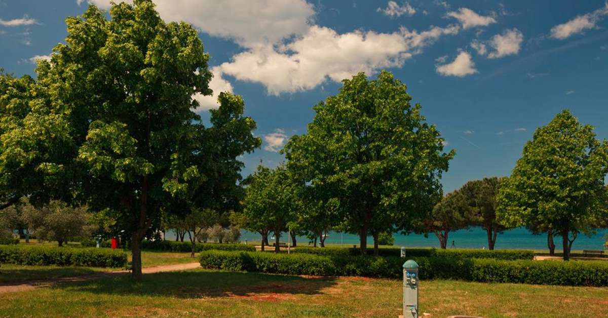 Een foto van de faciliteiten bij Camping Park Umag