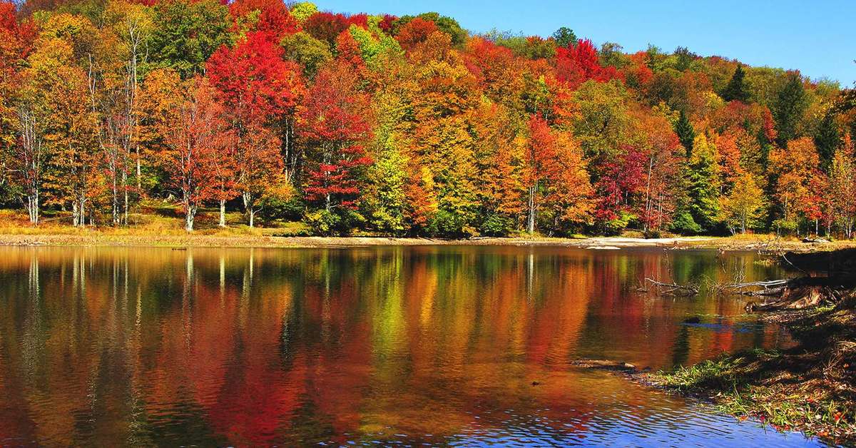 Een foto van A-ja Bad Saarow Resort