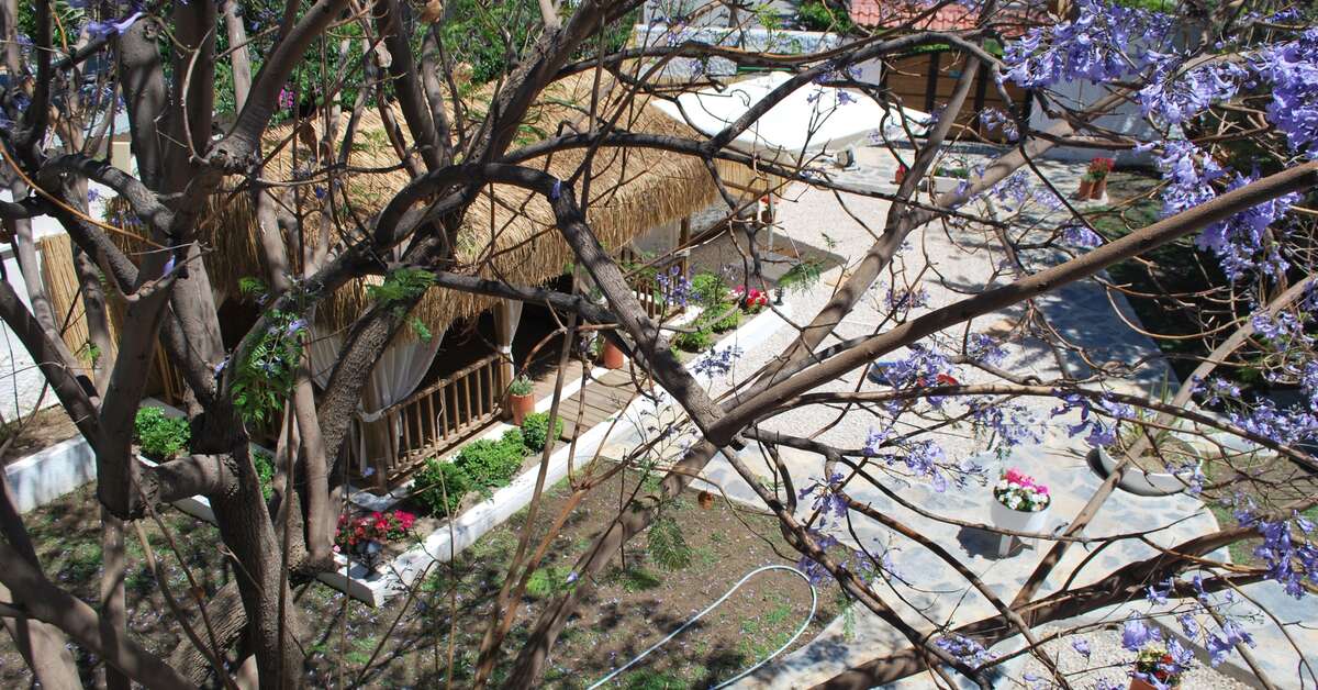 Een foto van het terras bij Serpina Hotel
