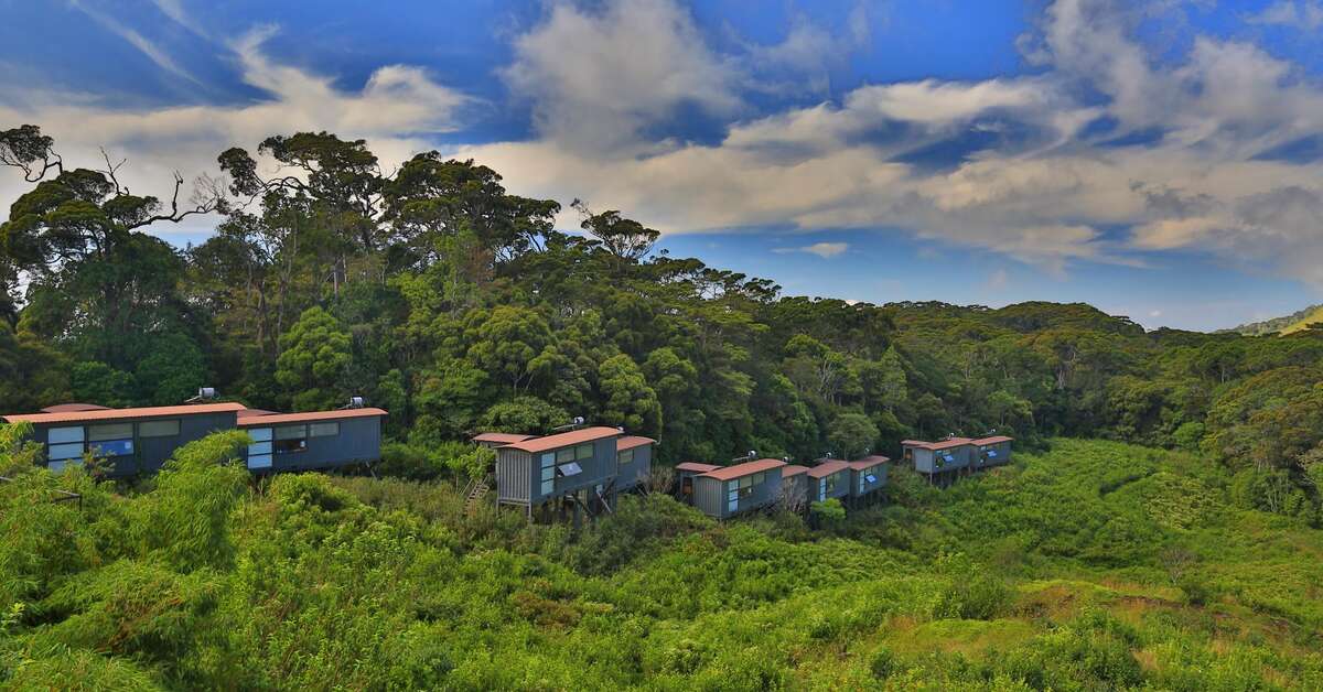 Een foto van Rainforest Eco Lodge