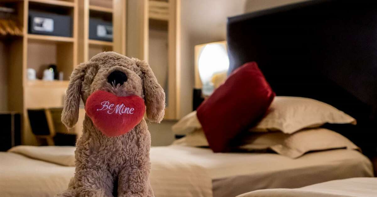 Een foto van The Academy Plaza Hotel
