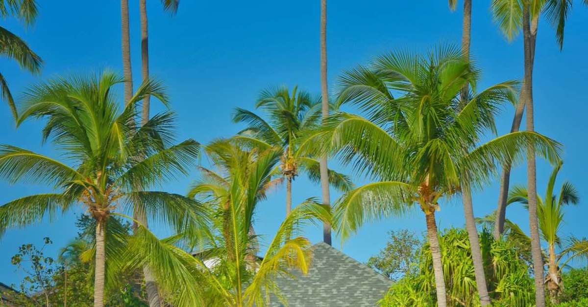 Een foto van NH Collection Maldives Havodda Resort