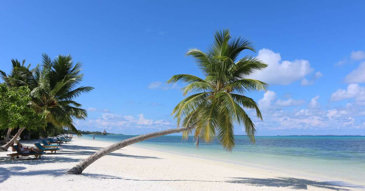 Een foto van Canareef Resort Maldives