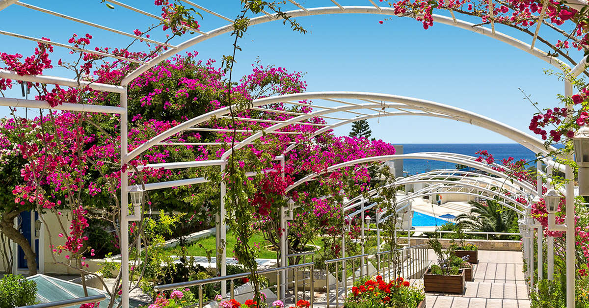 Een foto van Club Hotel Mare Blue & Village