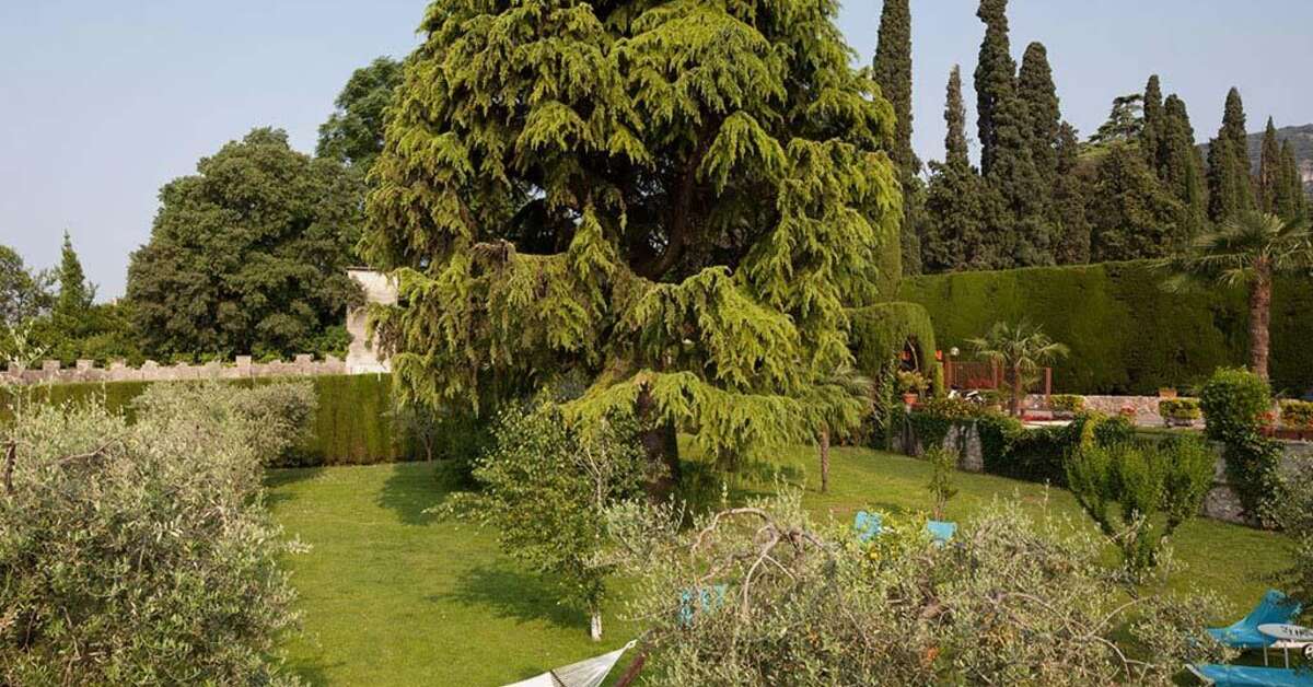 Een foto van Hotel Garden Garda
