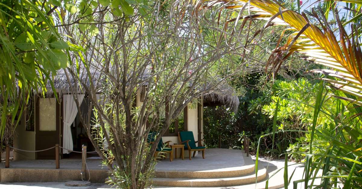 Een foto van de buitenkant van Coco Palm Dhuni Kolhu