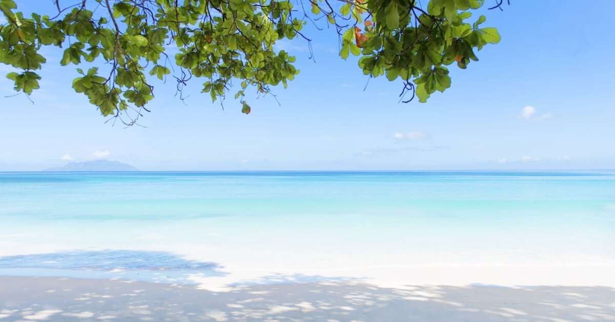 Een foto van Story Seychelles