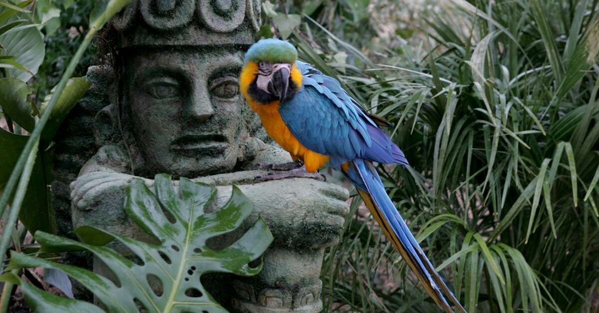Een foto van Magic Natura Waterpark Resort