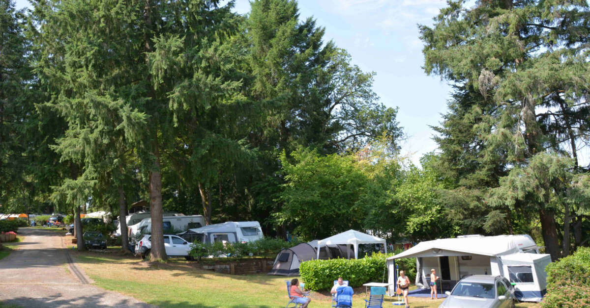 Een foto van Le Sequoia