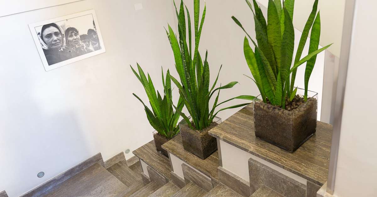 Een foto van het interieur van Quintocanto Hotel & Spa