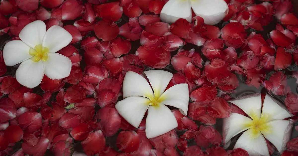 Een foto van Renaissance Koh Samui Resort & Spa