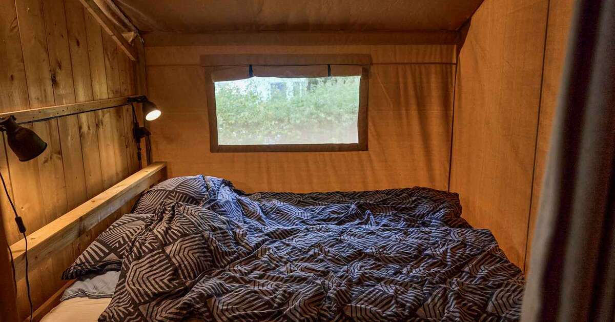 Een foto van Camping Vestbirk