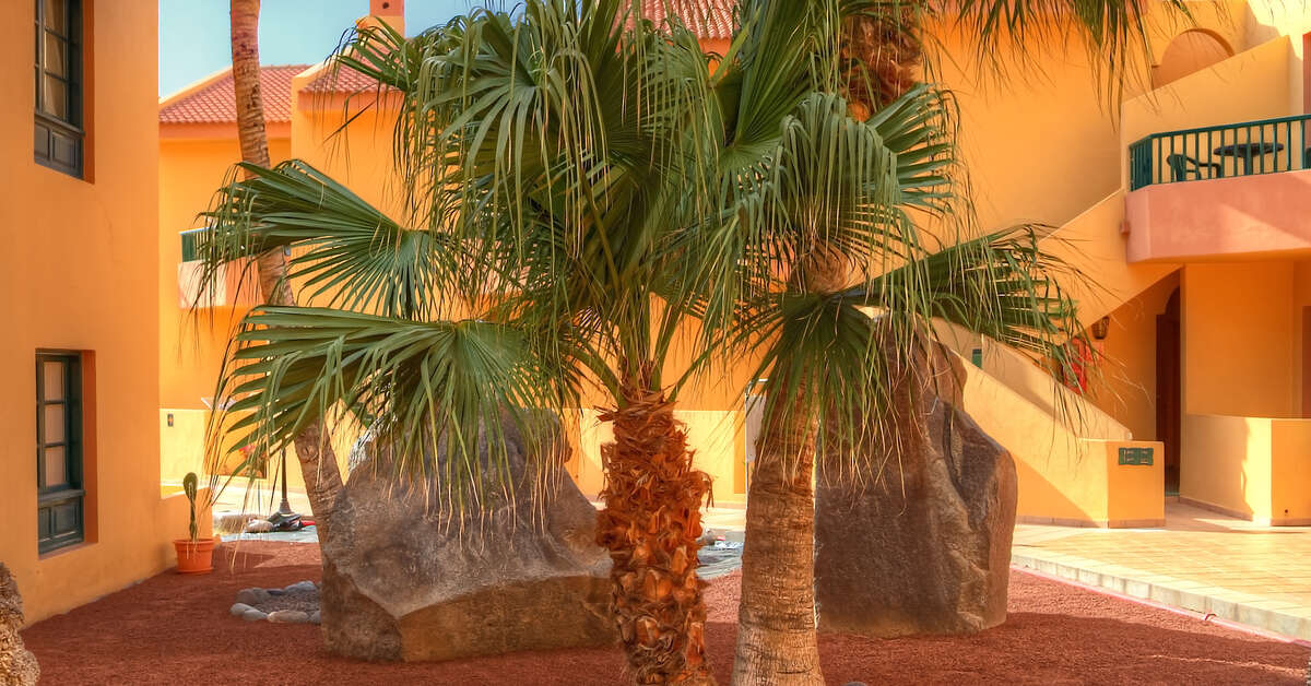 Een foto van Las Tres Palmeras