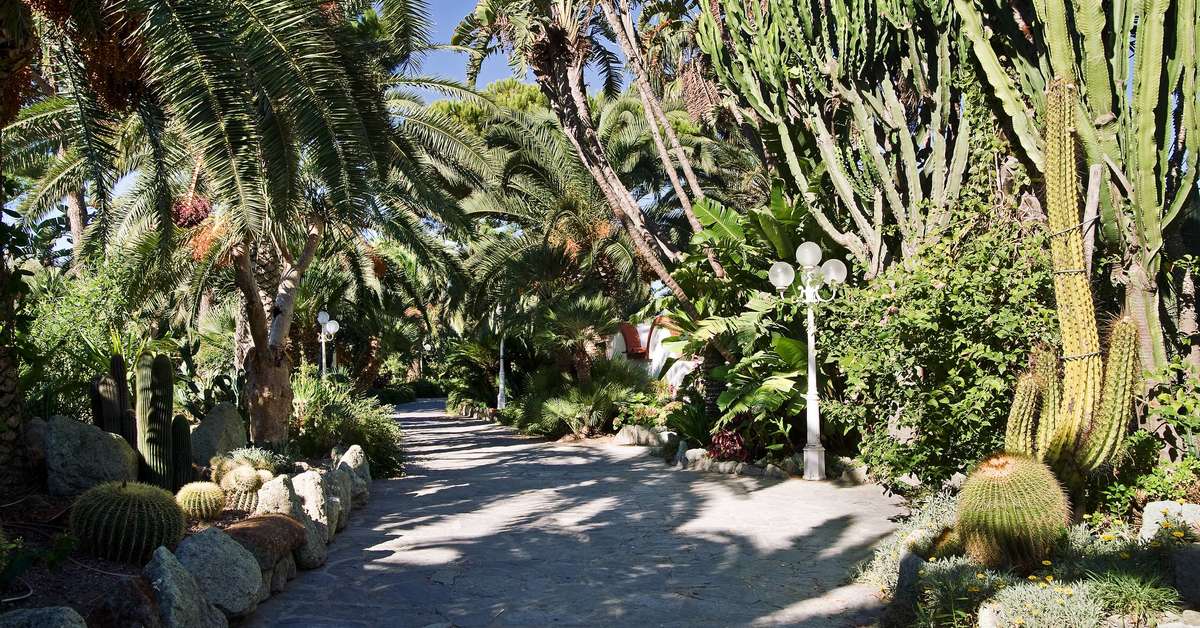 Ein Foto von der Terrasse im Park Hotel Terme Mediterraneo