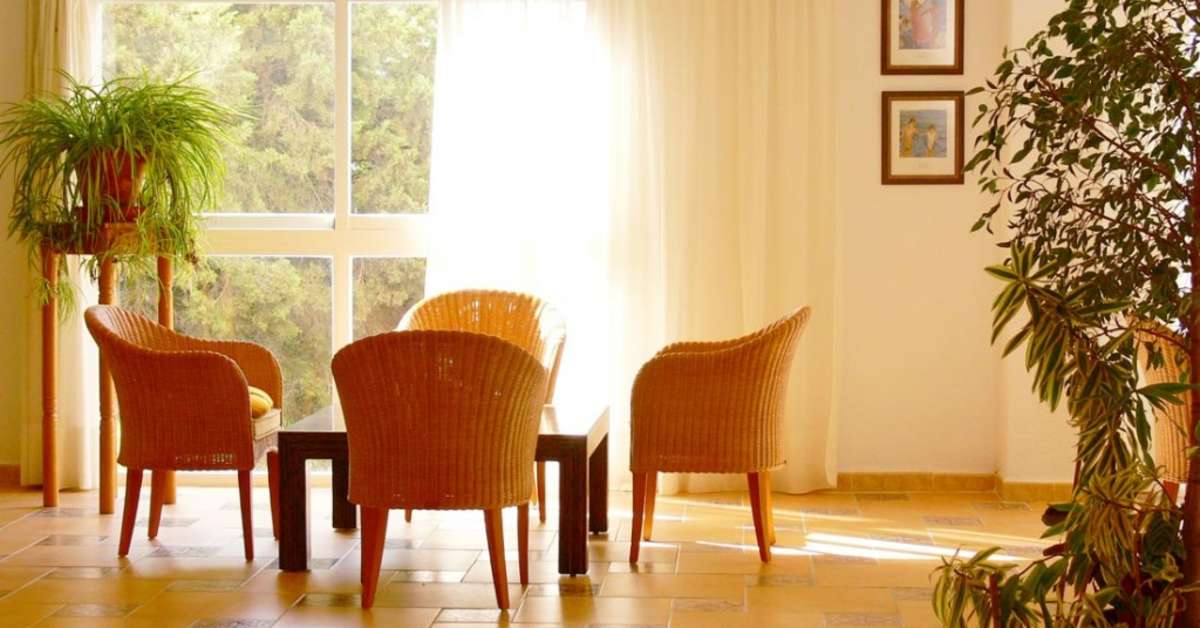 Een foto van het interieur van Roca Plana
