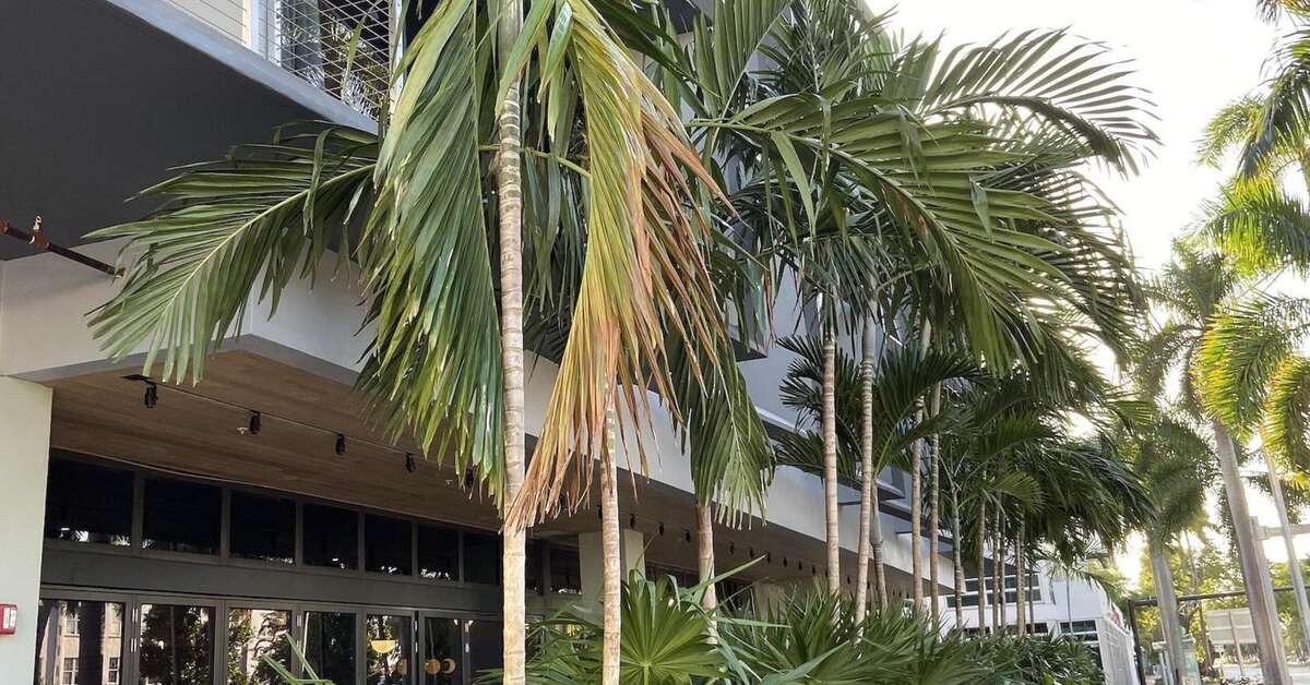 Een foto van The March Hotel