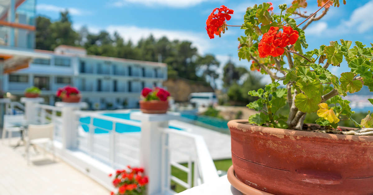 Ein Foto Hotel Punta