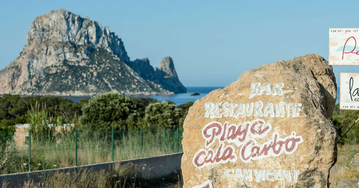 Een foto van Petunia Ibiza