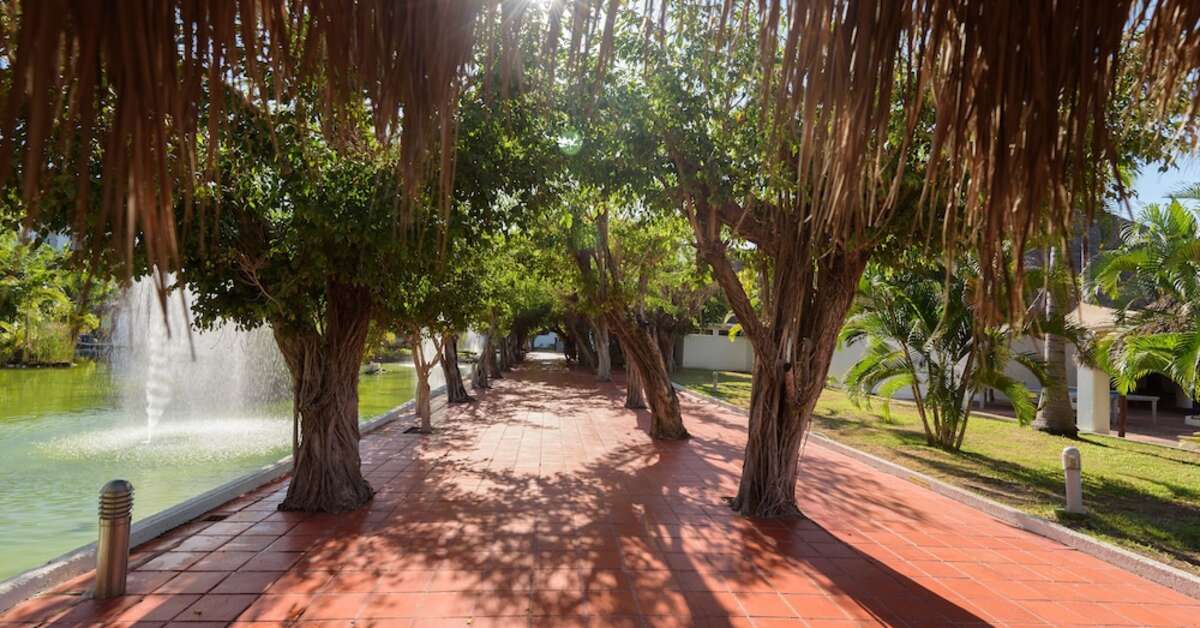 Een foto van Melia Puerto Vallarta All Inclusive