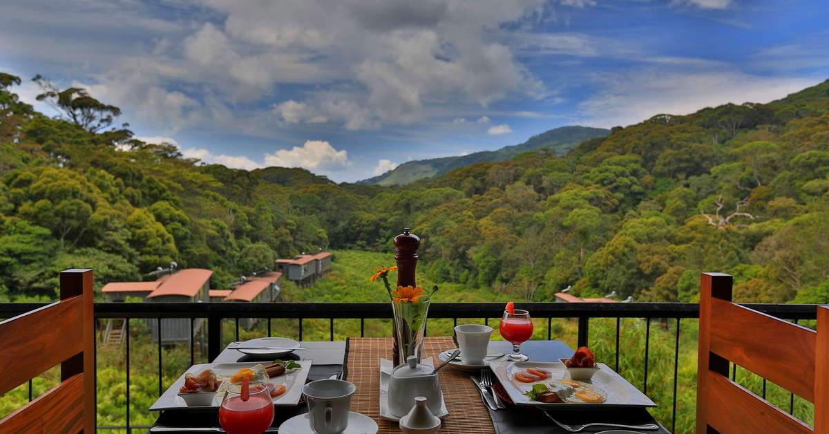 Een foto van Rainforest Eco Lodge
