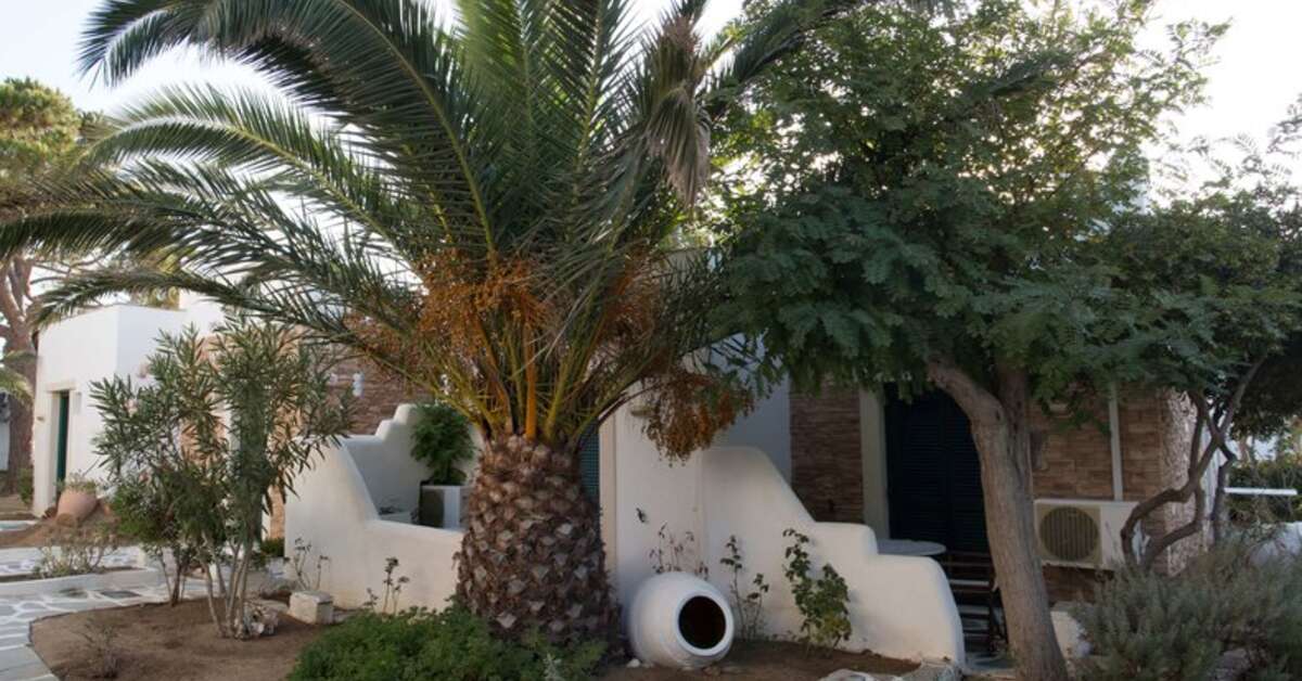 Een foto van Naxos Beach Hotel