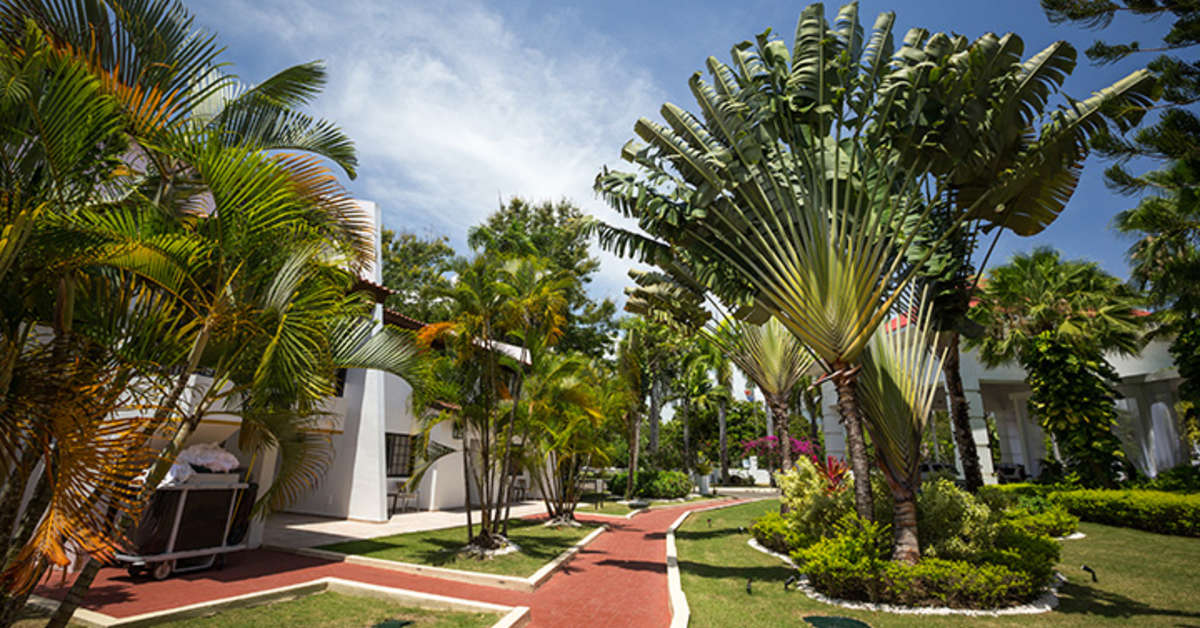 Een foto van de buitenkant van BlueBay Villas Doradas